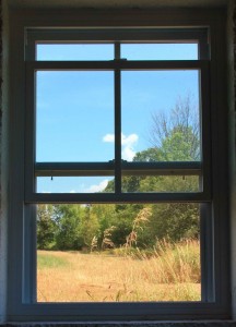 view-from-the-window1